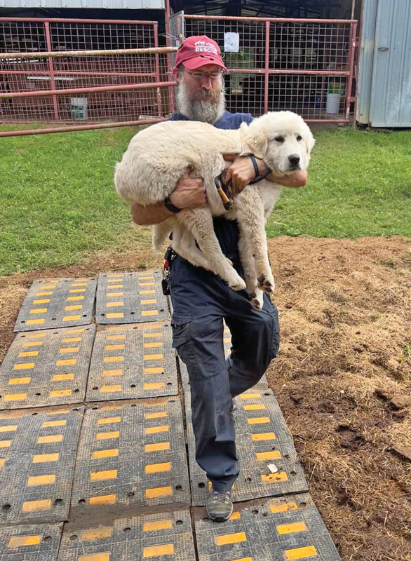 Photo courtesy American Humane Society