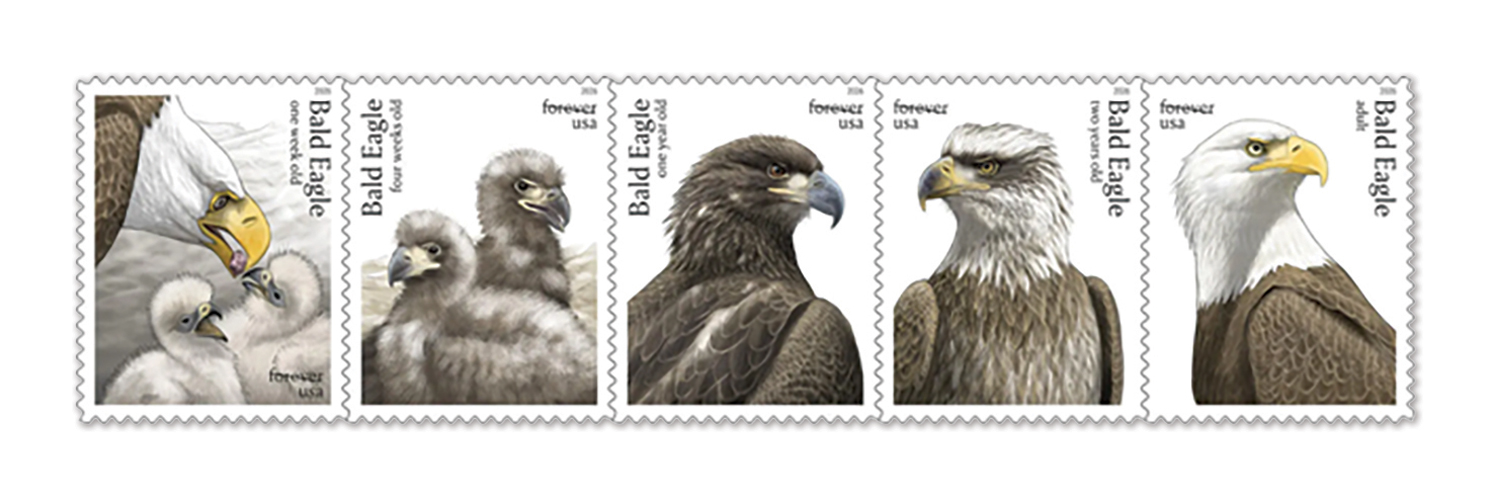 Image courtesy United States Postal Service