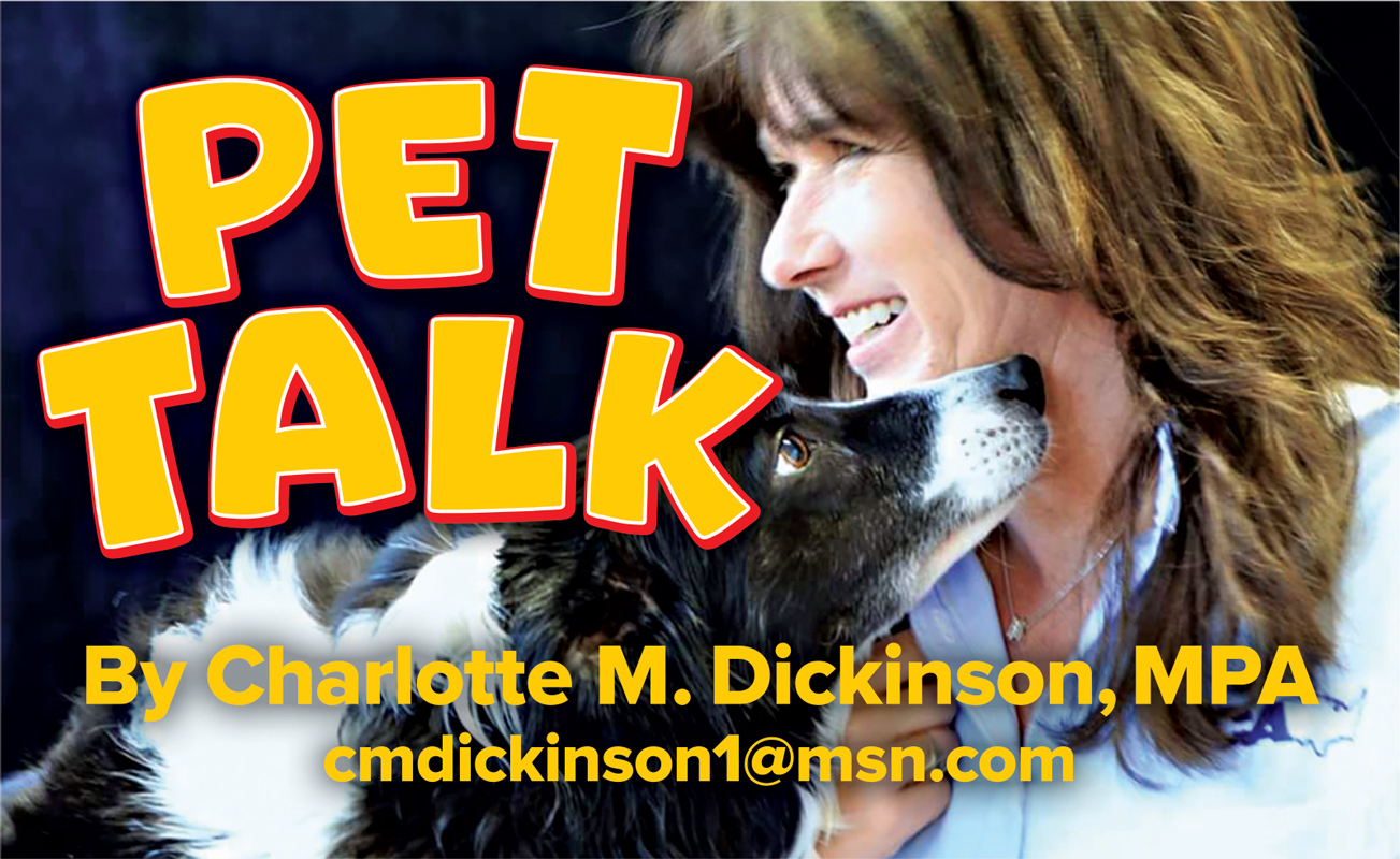 © The Ellis County Press