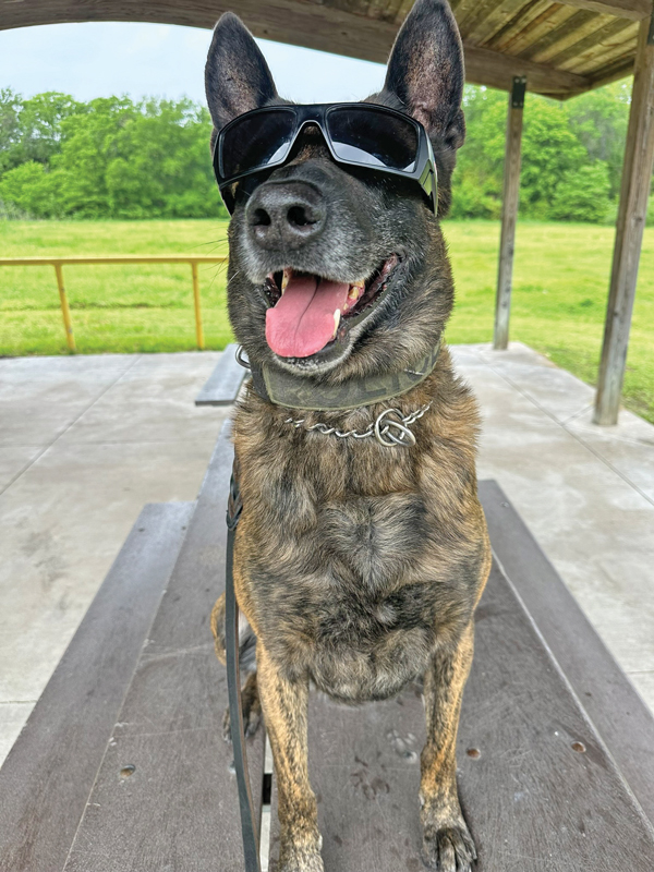 K9 Mac #1183