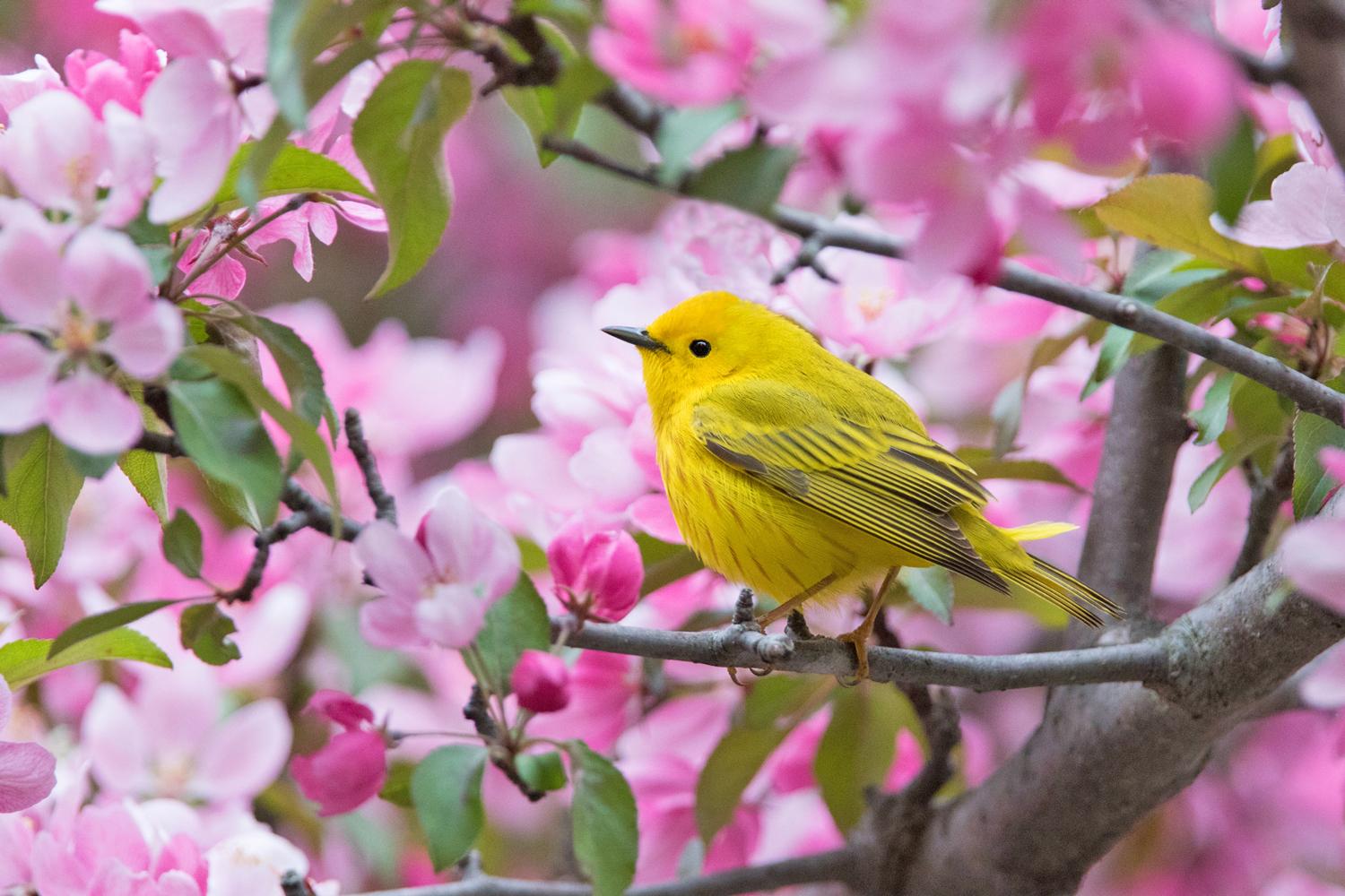 © Mirceax / iStock via Getty Images Plus