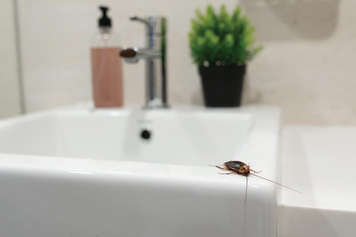 ©Kateryna Kukota / iStock via Getty Images Plus