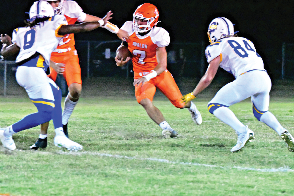 Avalon senior running back Josh Novak (7) rushed for 485 yards and nine scores while picking up 17.3 yards per carry. Photo by Fred Phipps.