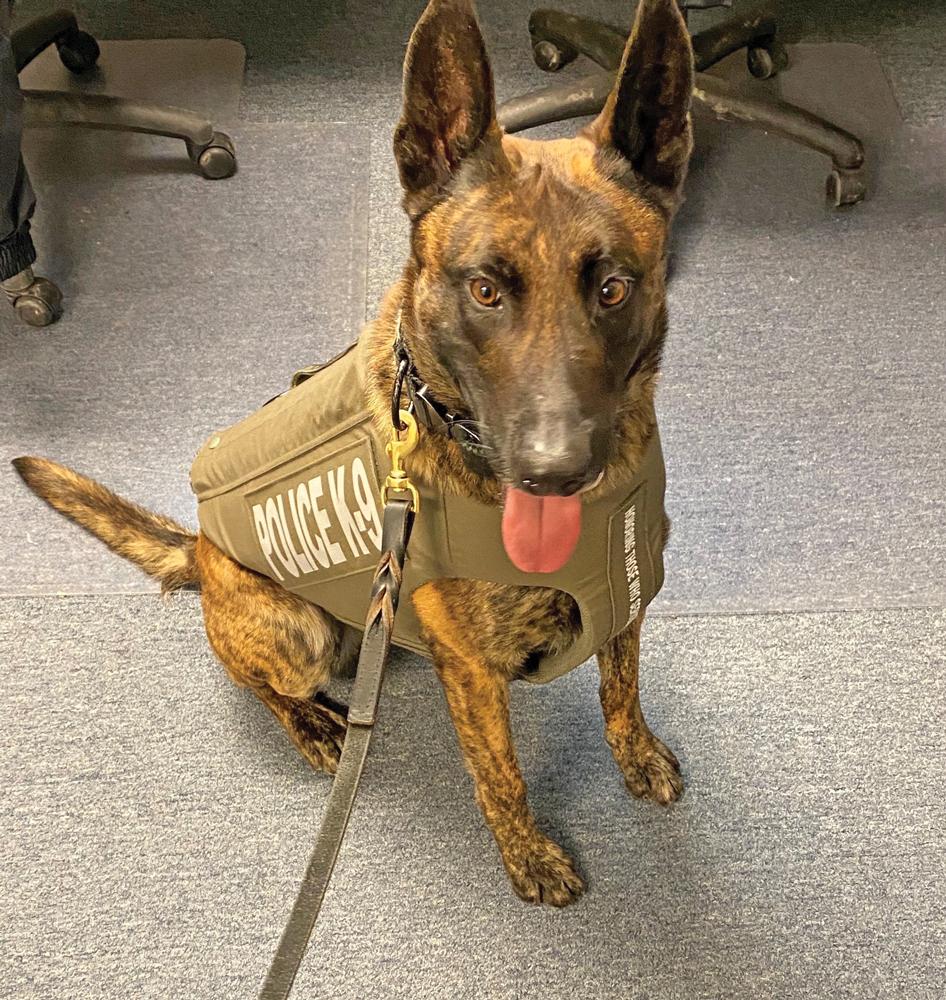 Officer K9 “Mac” 