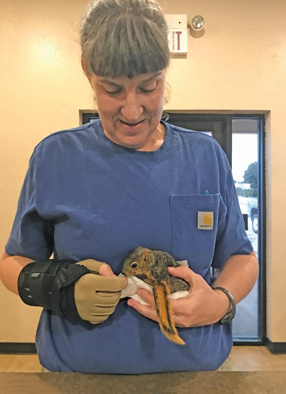 Dr. Susan Heath, Heath Mobile Veterinary Services.