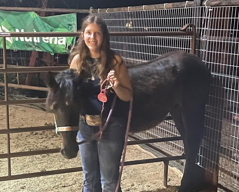 Jennifer Cox, 14, is competing in Extreme Mustang Makeover this year.