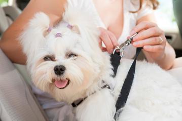 © humonia / iStock via Getty Images Plus