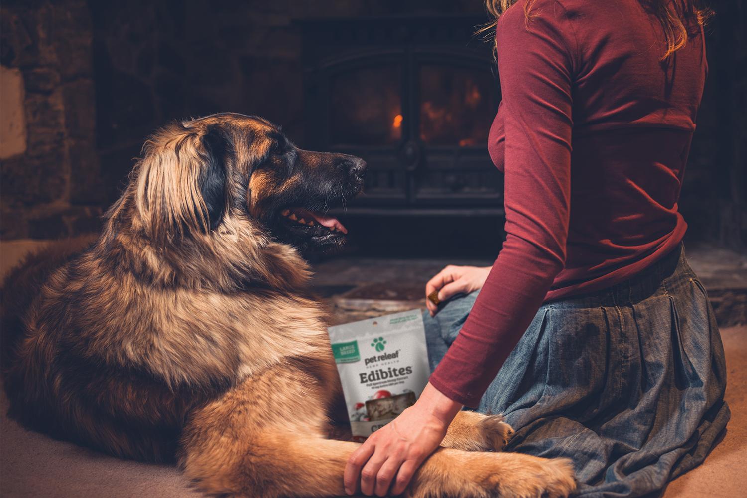 © LoloStock / Adobe Stock + Pet Releaf