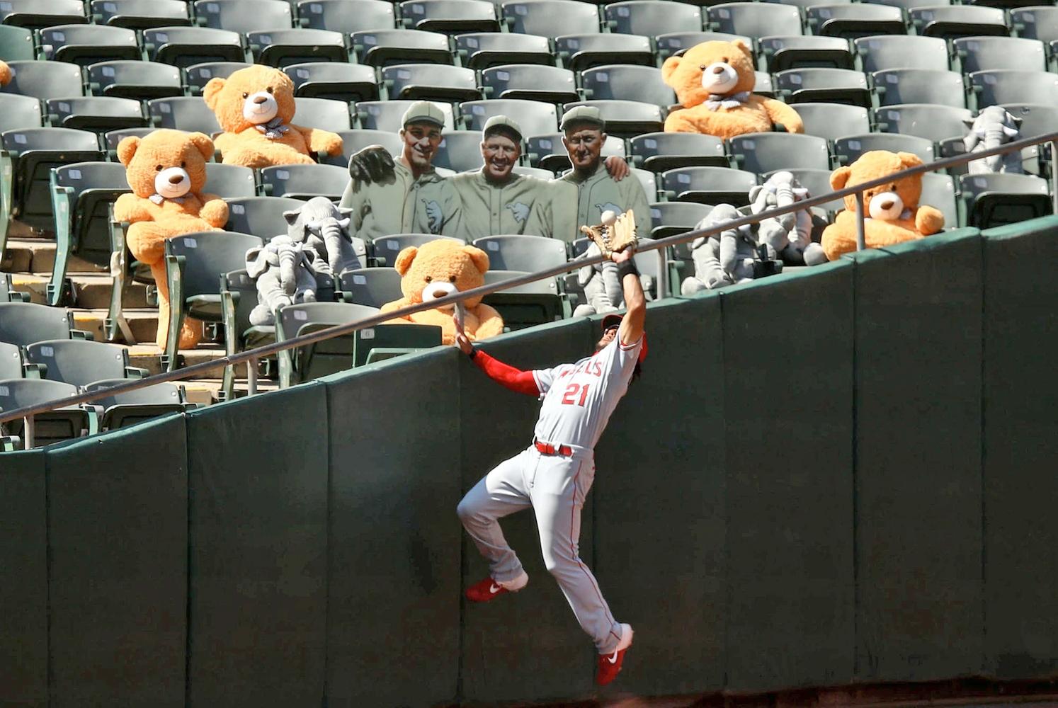 Ezra Shaw / Getty