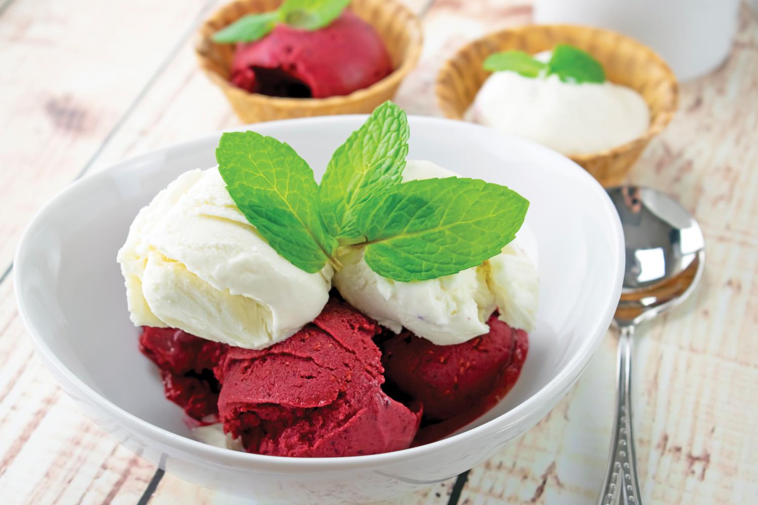 Very Berry and Creamy Coconut Ice Cream