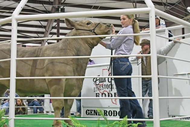 GRAND CHAMPION MARKET STEER: Lydia Browne, Ellis Co. 4H. Photo by Fred Phipps