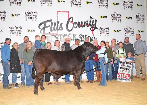 Grand Champion Market Steer: Elizabeth Norwood, Midlothian 4-H