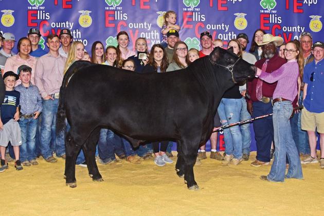 Grand Champion Market Steer: Cameron Luedtke, Midlothian FFA