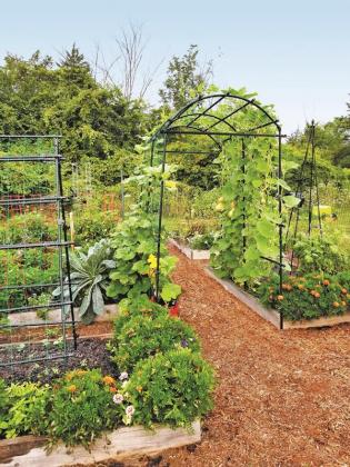 Incorporate trellises into garden plans so beans, peas, tomatoes and even squash can be trained to grow vertically. Photo courtesy of Gardener’s Supply Company.