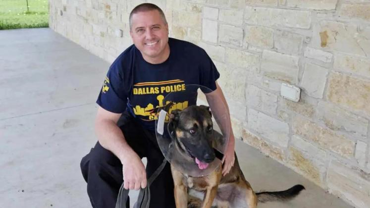 Dallas Police Department Senior Corporal Scott Jay and his K9 partner Figor. Photo courtesy NBC-DFW.
