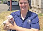 Animal Control Officer Danielle Reed.