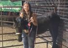 Jennifer Cox, 14, is competing in Extreme Mustang Makeover this year.