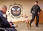 Franklin County (Ark.) sheriff’s Deputy Brandon Chancey tries to control his new and excited K9 Pit Bull, Pepper, as they’re introduced during Friday’s graduation from Midlothian-based Sector K9, a police canine training group, at Ferris ISD auditorium. Photo courtesy Tom Fox / The Dallas Morning News 